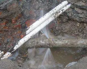 延长水管维修费用是多少