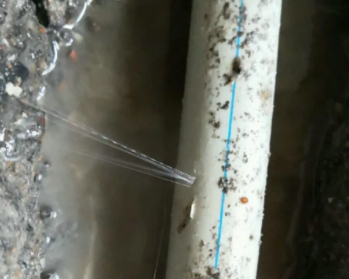 延长卫生间测漏水多少钱